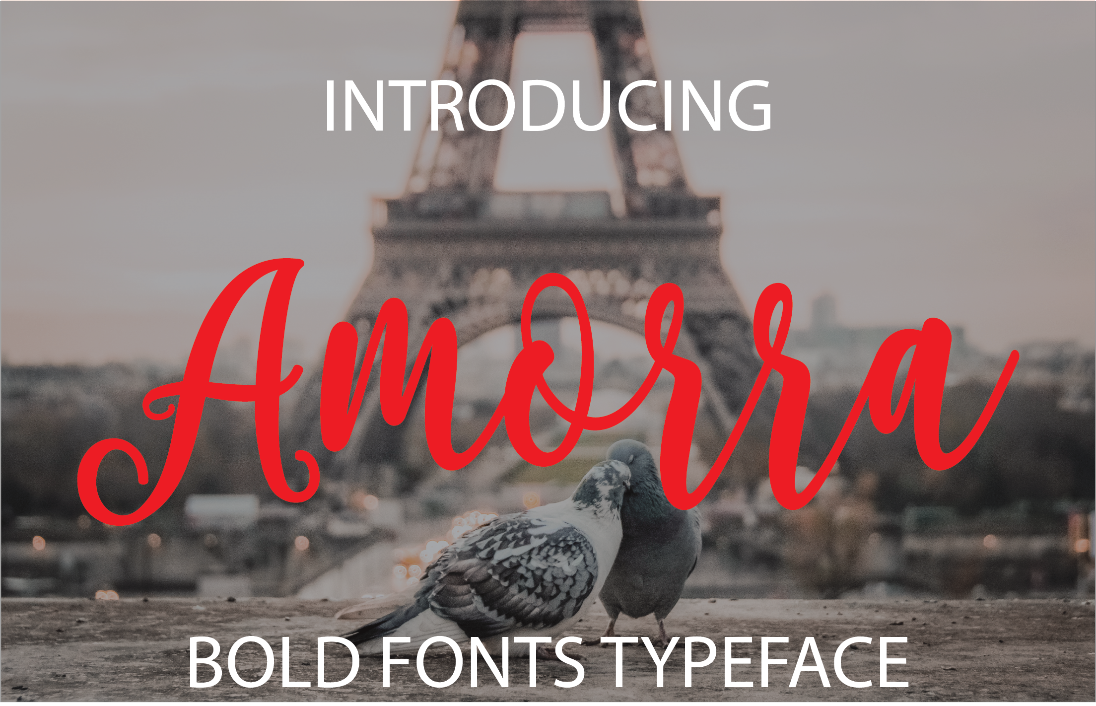 Amorra: The Perfect Script Font for Your Brand's Visual Upgrade