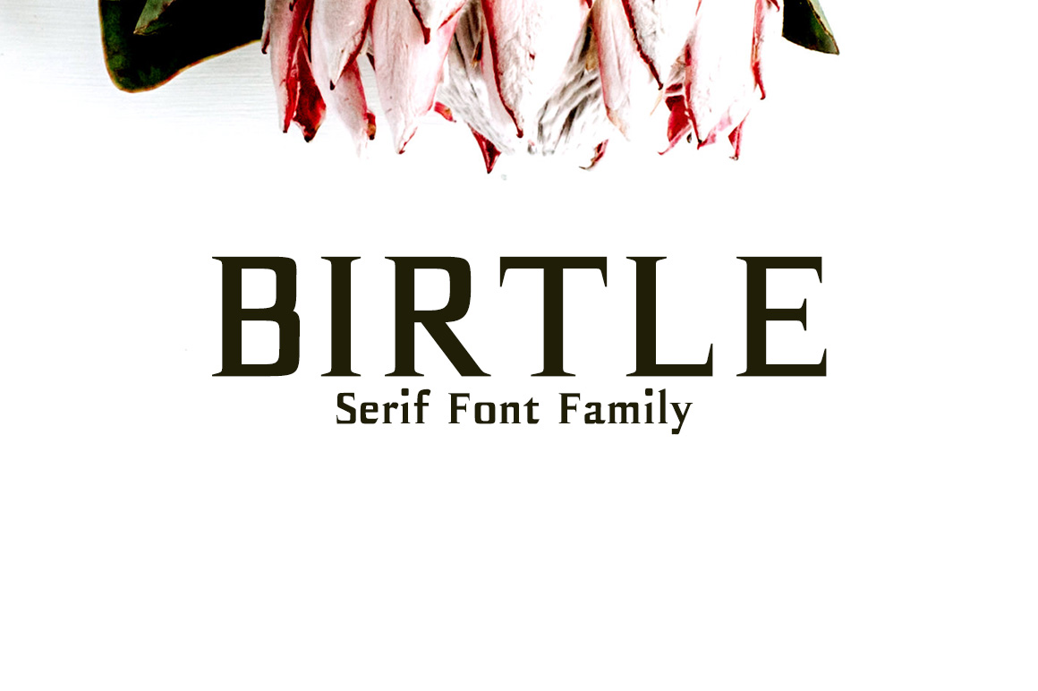 Birtle Font: Modern Serif Typography for Small Business Branding