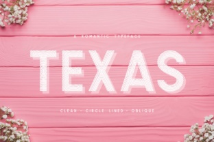 Enhance Your Brand with Texas a Romantic Typeface