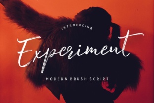 Experiment Brush Font for Confident Web Design