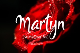 Martyn Font Review: A Modern Script for Brand Identity