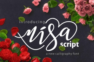 Nisa Font: Modern Script Typography for Editorial Design