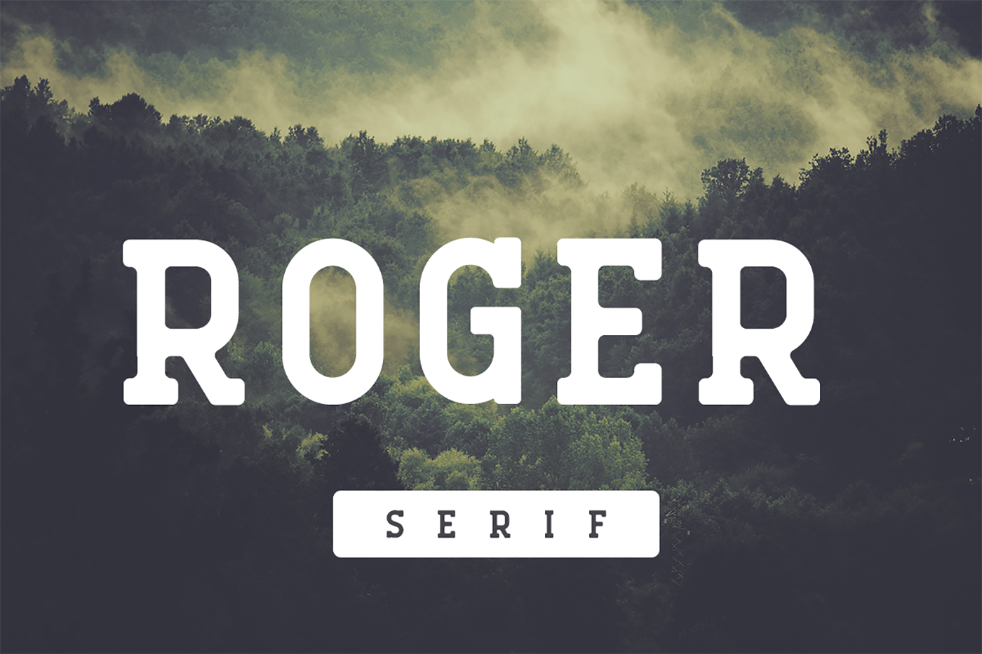 Roger Serif Font: Vintage Charm for Modern Makers