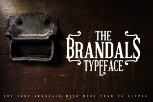 The Brandals Font: Retro Serif Style for Small Business Branding